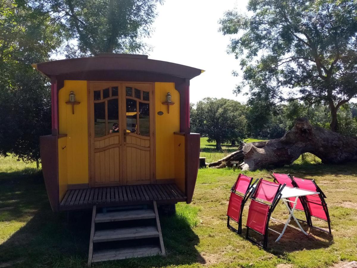 Отель Camping La Bergerie La Chapelle-Achard Экстерьер фото